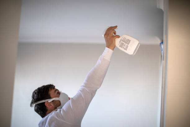 Best Mold Removal Near Me  in Purdy, WA