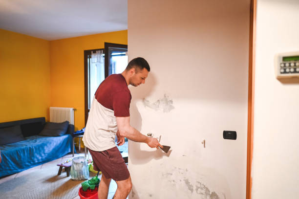 Professional Mold Removal in Purdy, WA
