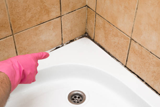 Best Emergency Mold Removal  in Purdy, WA